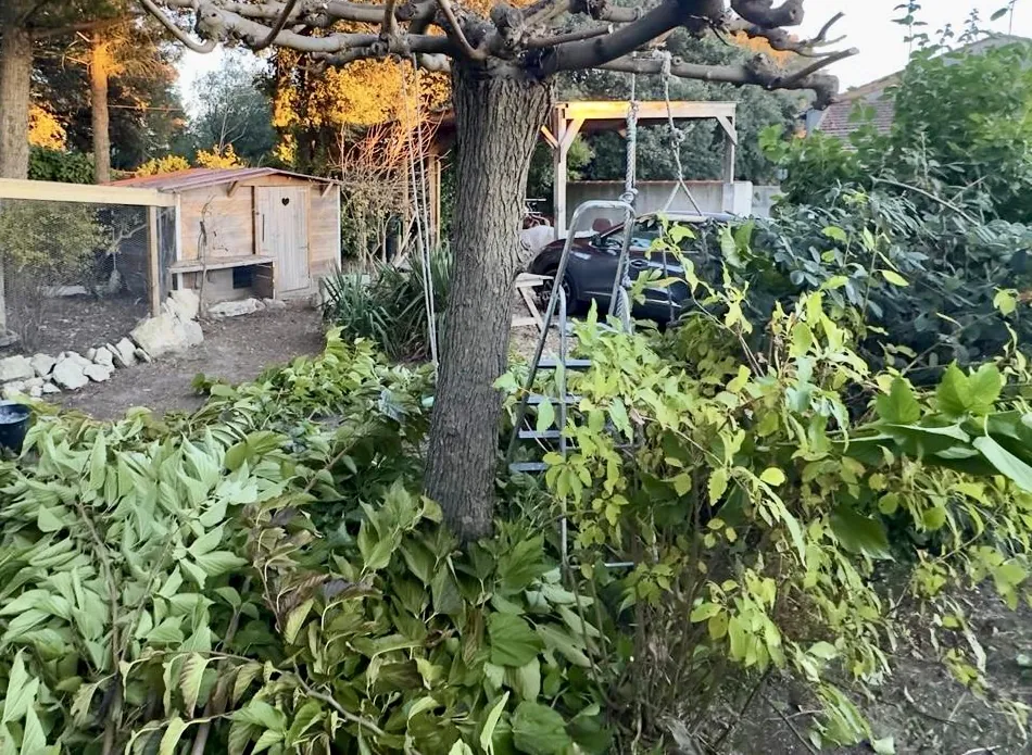 Jardin avec poulailler et abri en arrière-plan
