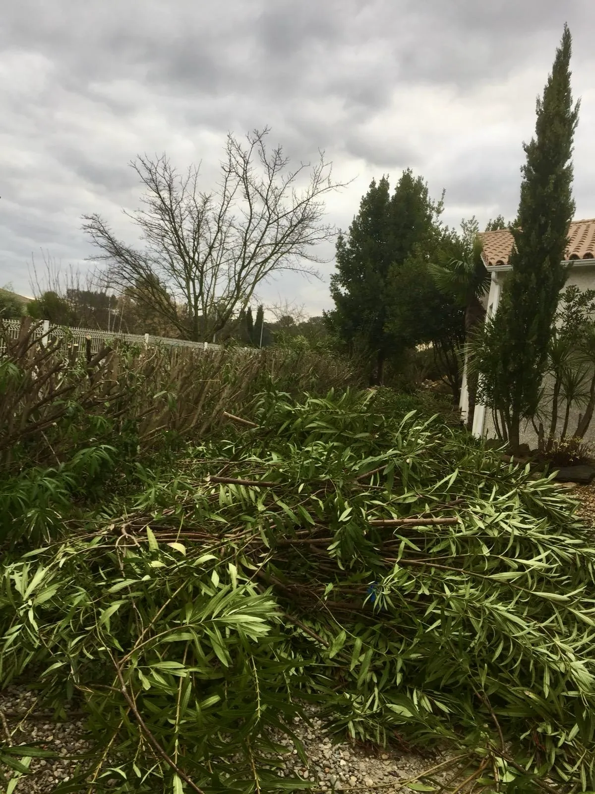 Débroussaillage et taille de jardin dans le Gard