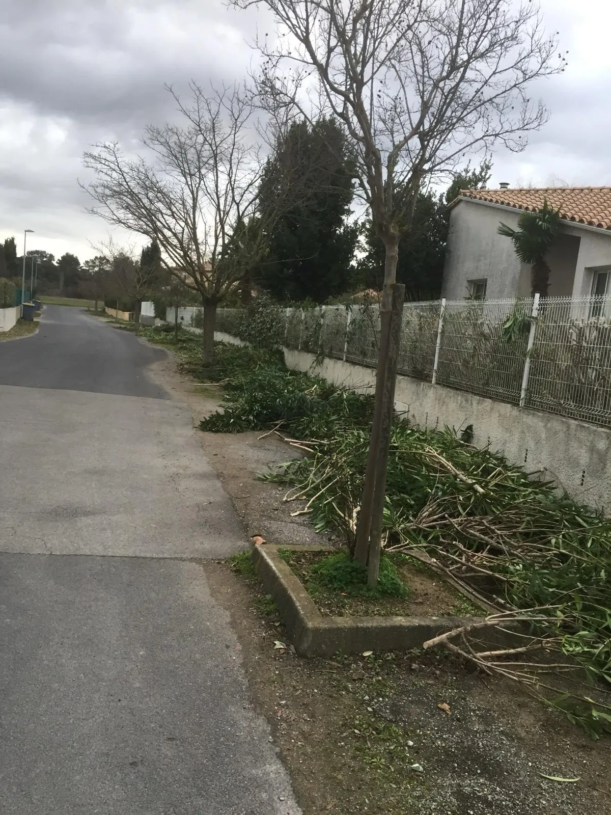 Branchages et taille de haies évacués sur trottoir